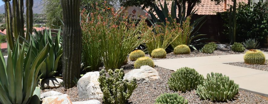 Residential Landscaping Services | Las Vegas