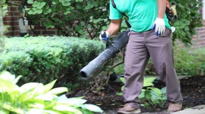 Photo of Landscape Maintenance in Las Vegas