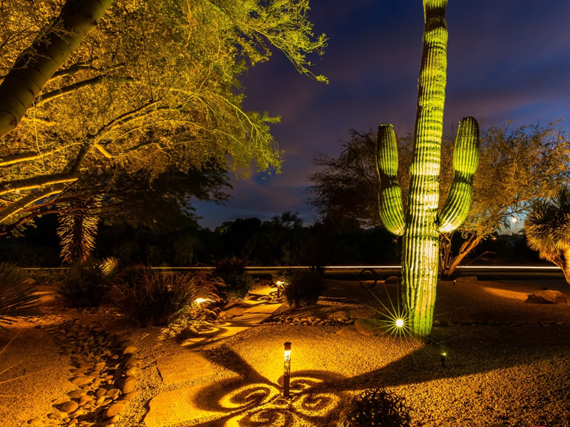 Photo of low voltage landscape lighting a cactus which was installed by Chicago Landscape of Las Vegas