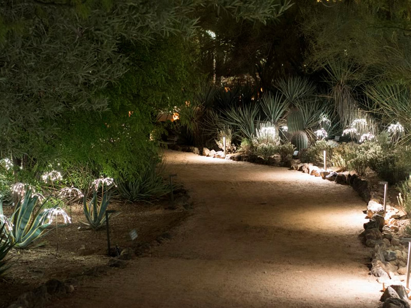 Photo of Outdoor Lighting installed on path way by Chicago Landscape of Las Vegas