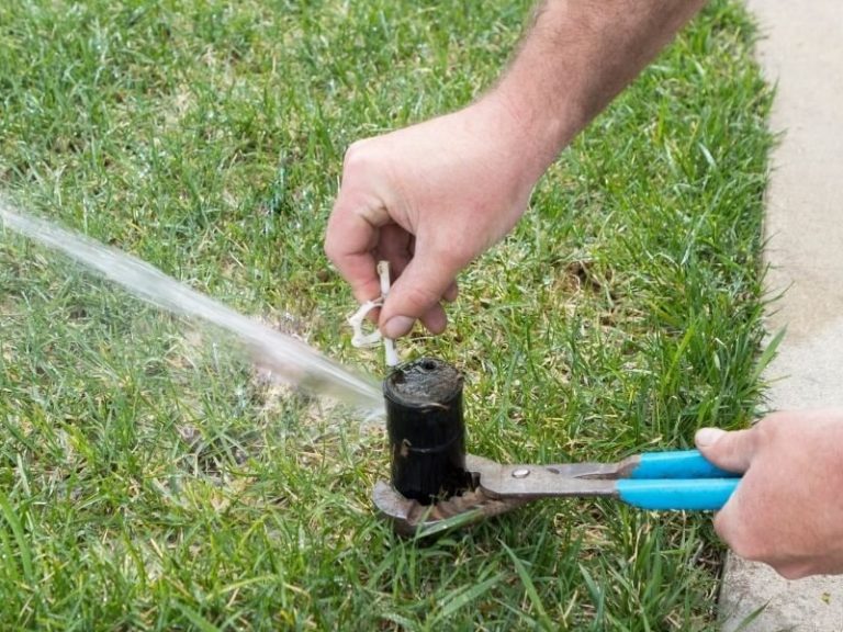 Image showcasing Sprinkler System Installation & Irrigation Repair - Las Vegas Landscaper