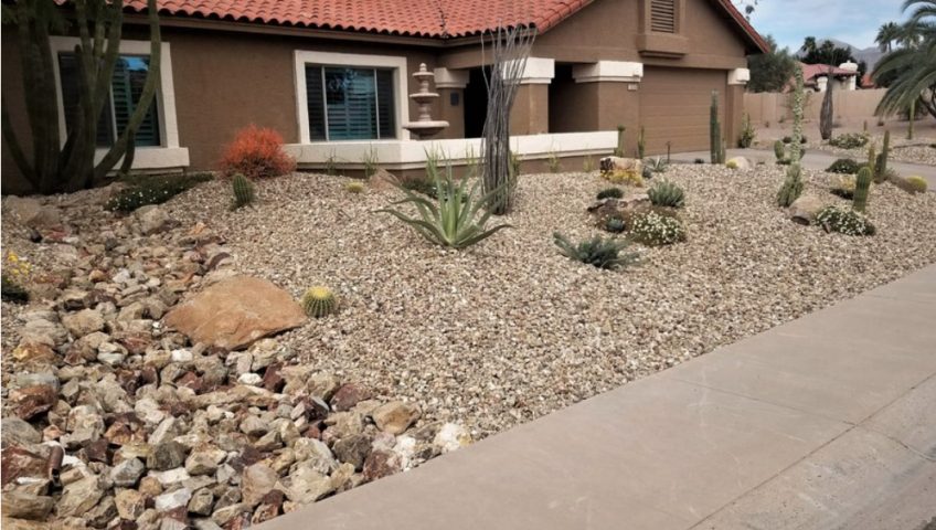 Photo of desert landscape conversion completed by Las Vegas Landscapers