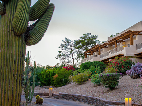 Las Vegas Commercial Landscaping for HOA