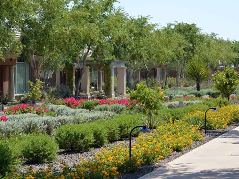 photo of commercial landscaping in Las Vegas, NV