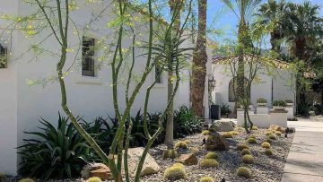 luxury desert minimalism Las Vegas wellness garden with limestone and agave