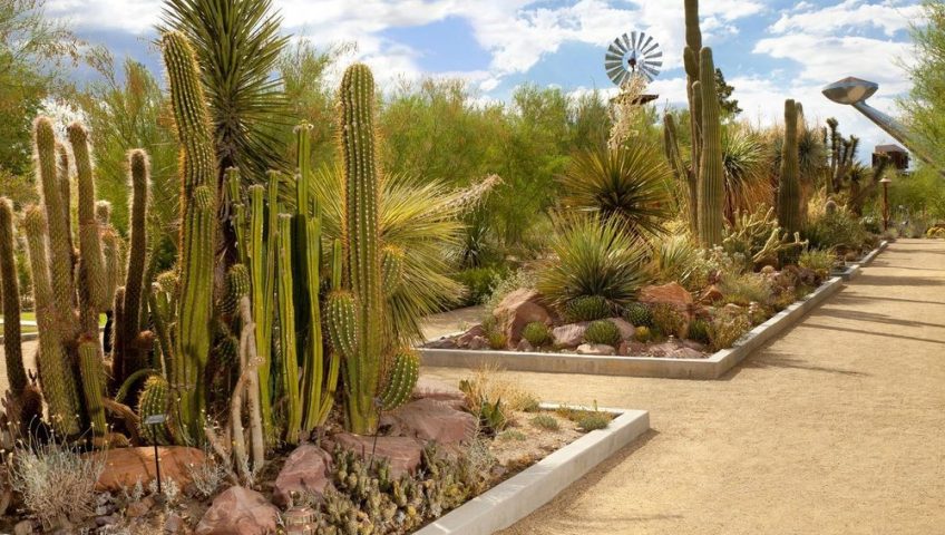 wellness gardens Las Vegas designed as private backyard oases
