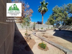 This photo shows retaining walls complete with plants and trees installed. Irrigation is also complete at this stage.