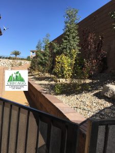 Luxury residential poolscape design Southern Highlands Las Vegas