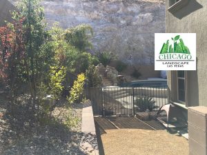 Luxury residential poolscape design Southern Highlands Las Vegas