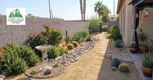 desert friendly plants or backyard redesign Las Vegas