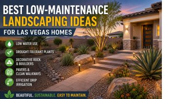 Low-maintenance landscaping Las Vegas home with desert plants, rock, and pavers