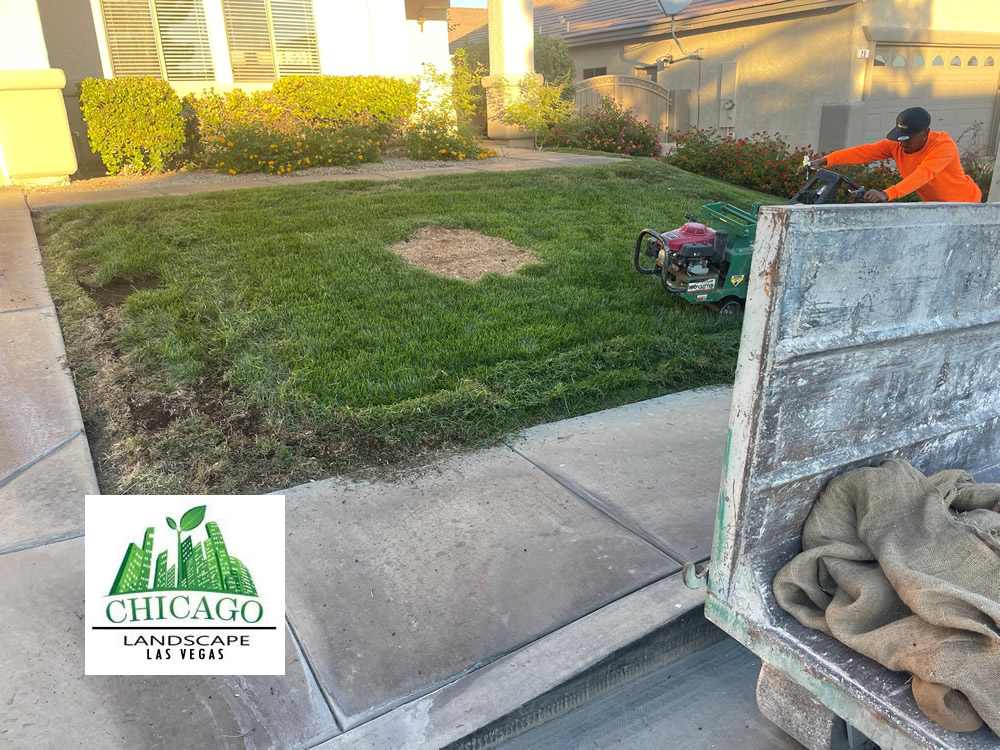 Landscapers performing a desert landscape conversion in Henderson by removing dead grass.