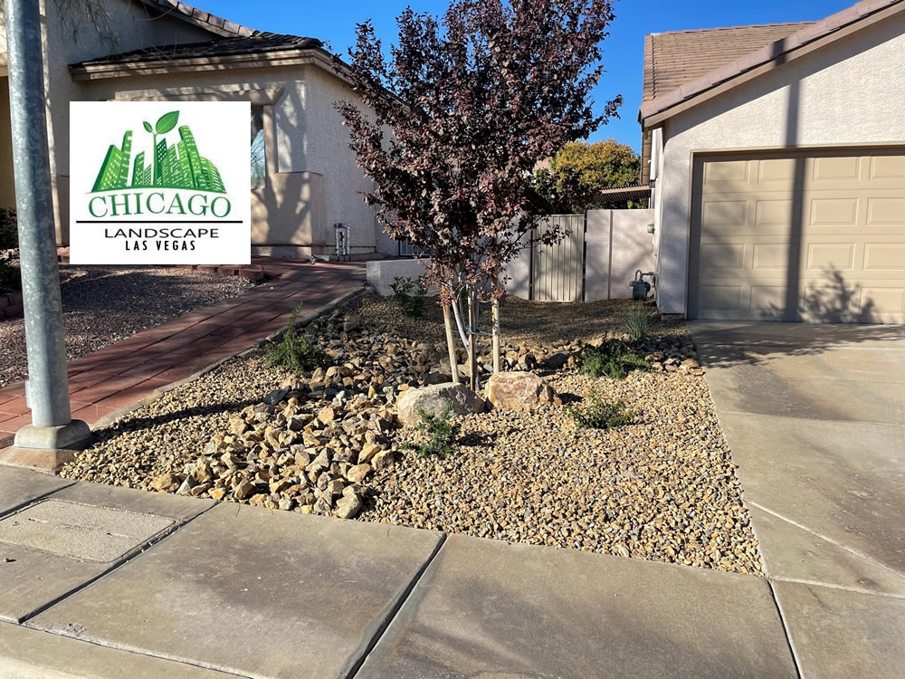 Water-smart desert trees and a rock drainage bed installed in a Las Vegas Valley front yard.