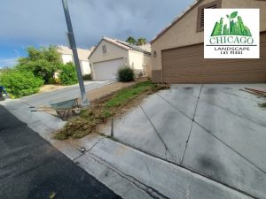 Before photos of a Las Vegas yard redesign showing dead grass and weeds.
