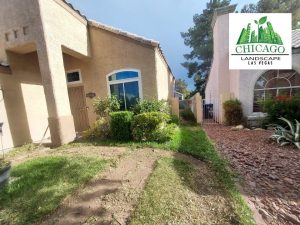 Before photos of a Las Vegas yard redesign showing dead grass and weeds.
