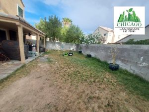 Before photos of a Las Vegas yard redesign showing dead grass and weeds.
