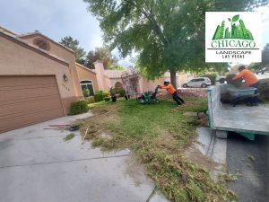 Before photos of a Las Vegas yard redesign showing dead grass and weeds.