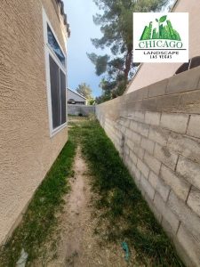 Before photos of a Las Vegas yard redesign showing dead grass and weeds.