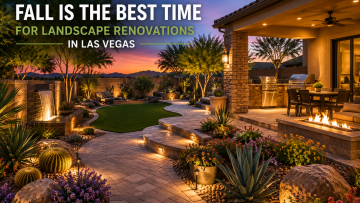 Fall landscape renovation in Las Vegas featuring a professionally designed outdoor living space with pavers, desert plants, landscape lighting, and modern hardscape elements.
