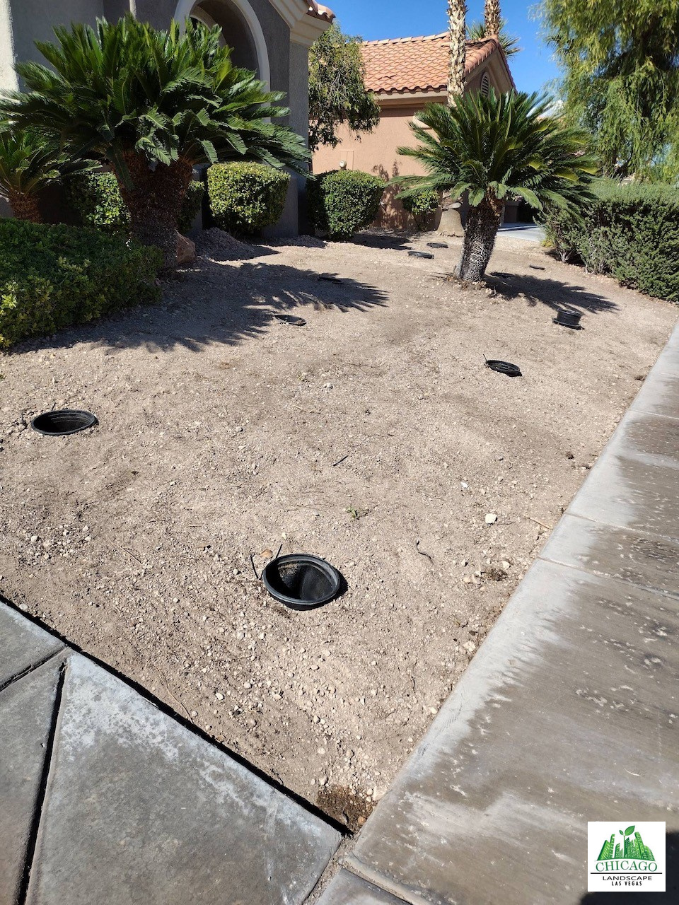 Front yard planting locations prepared after grass removal.