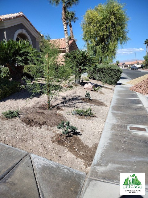 New tree and small plants installed in the cleared front yard.