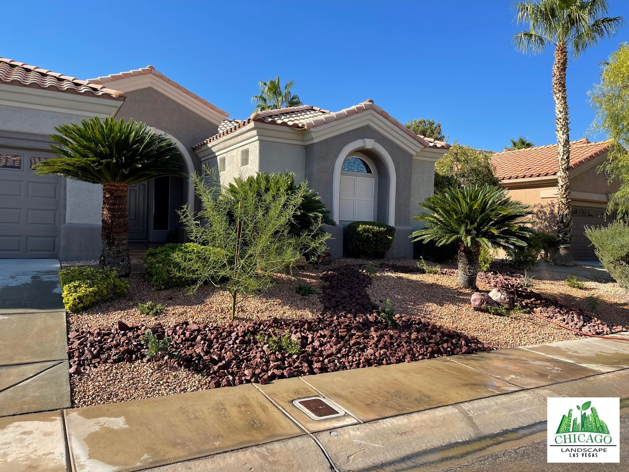 Finished front yard with decorative rock, new planting, and mature palms.