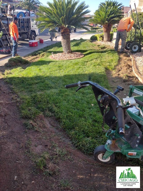 Crew and equipment removing front yard grass during the landscape renovation.